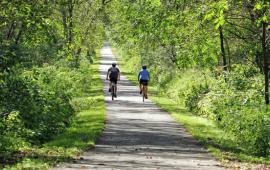 Bikers on Cannon Valley Trail