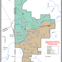 Voting Precincts in Cannon Falls Map