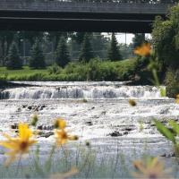 Waterfall in Cannon Falls