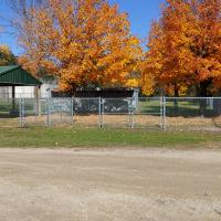 Dog Park