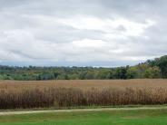 Looking East at Hardwood Estates